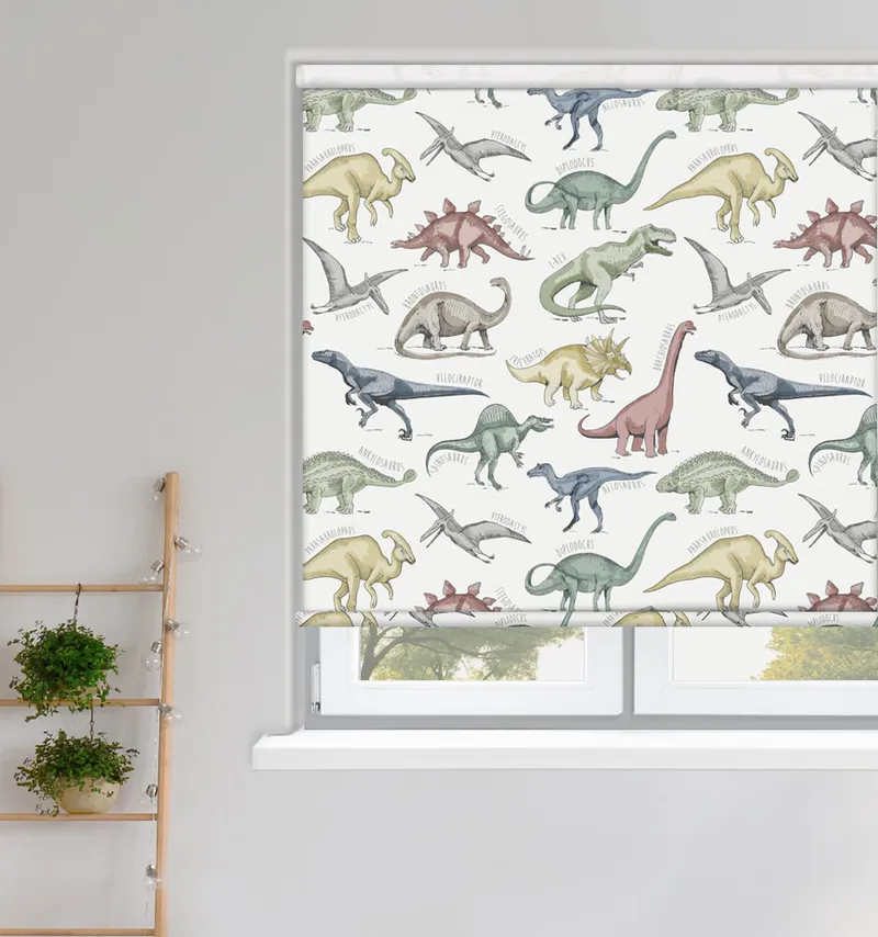 Dinosaurs Prehistoric Roller Blinds