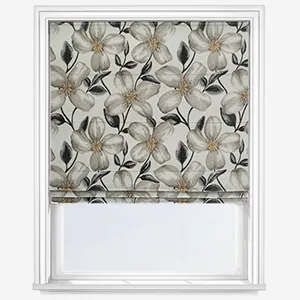 Zaragoza Antique Roman Blind
