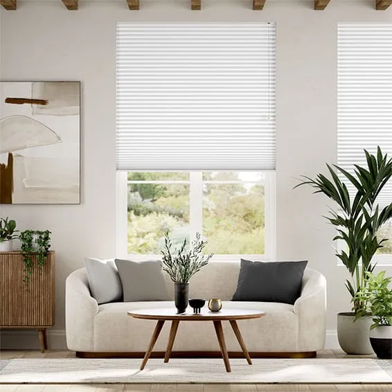 Double Duoshade Chalk Thermal Blind