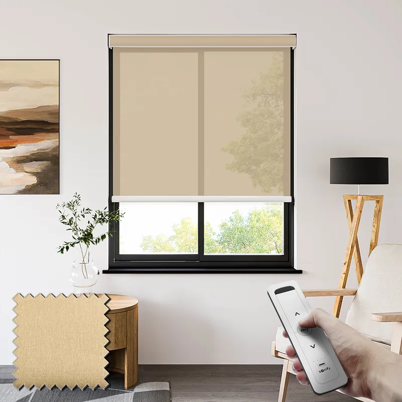 Lucid Earth Somfy Battery Powered Sheer Roller Blinds