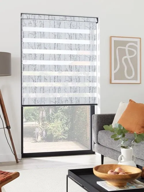 Concept Silver Vision Day And Night Blind