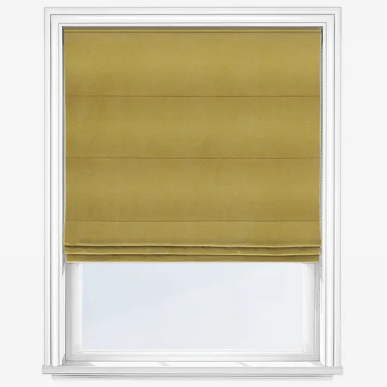 Memoir Chartreuse Roman Blind
