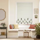 Mickey Stripe Border Dove Grey Roman Blind
